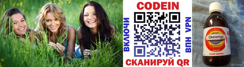 Codein Purple Drank  Ленинградская 