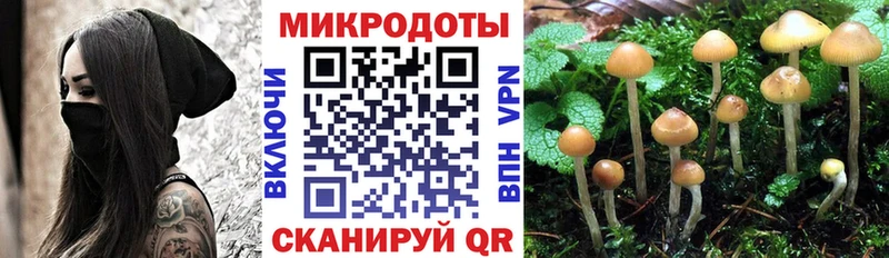где купить наркоту  Ленинградская  hydra ТОР  Псилоцибиновые грибы мухоморы 